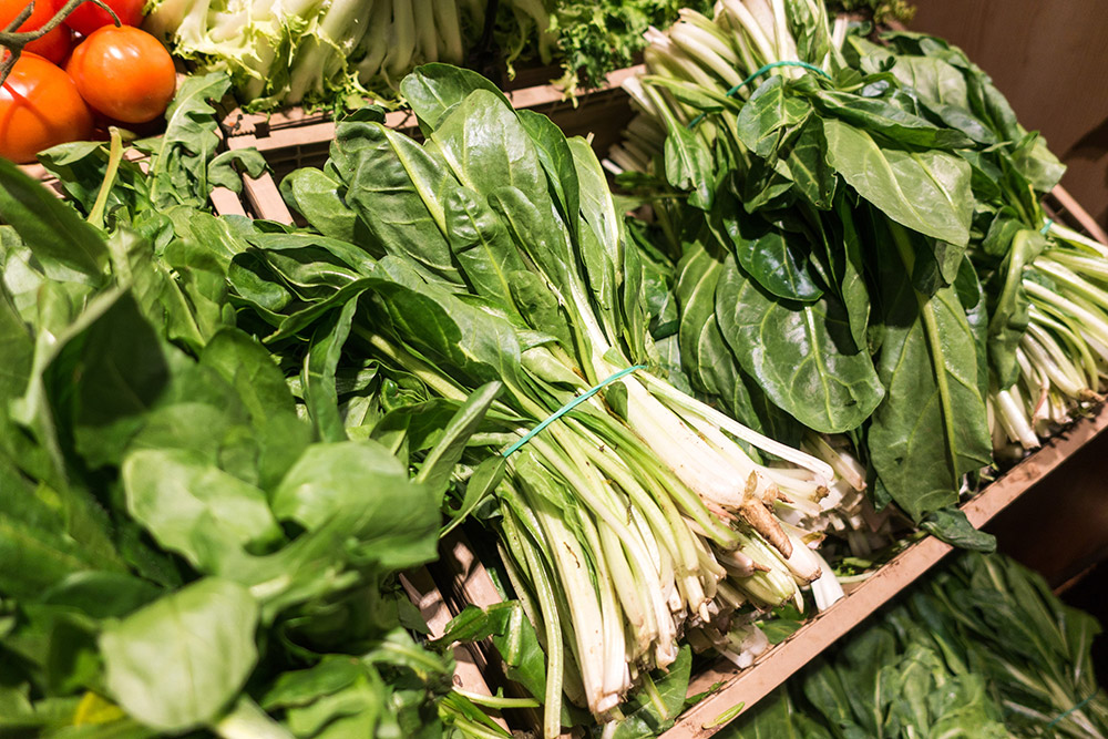Sustainable consumption in Europe and the Netherlands