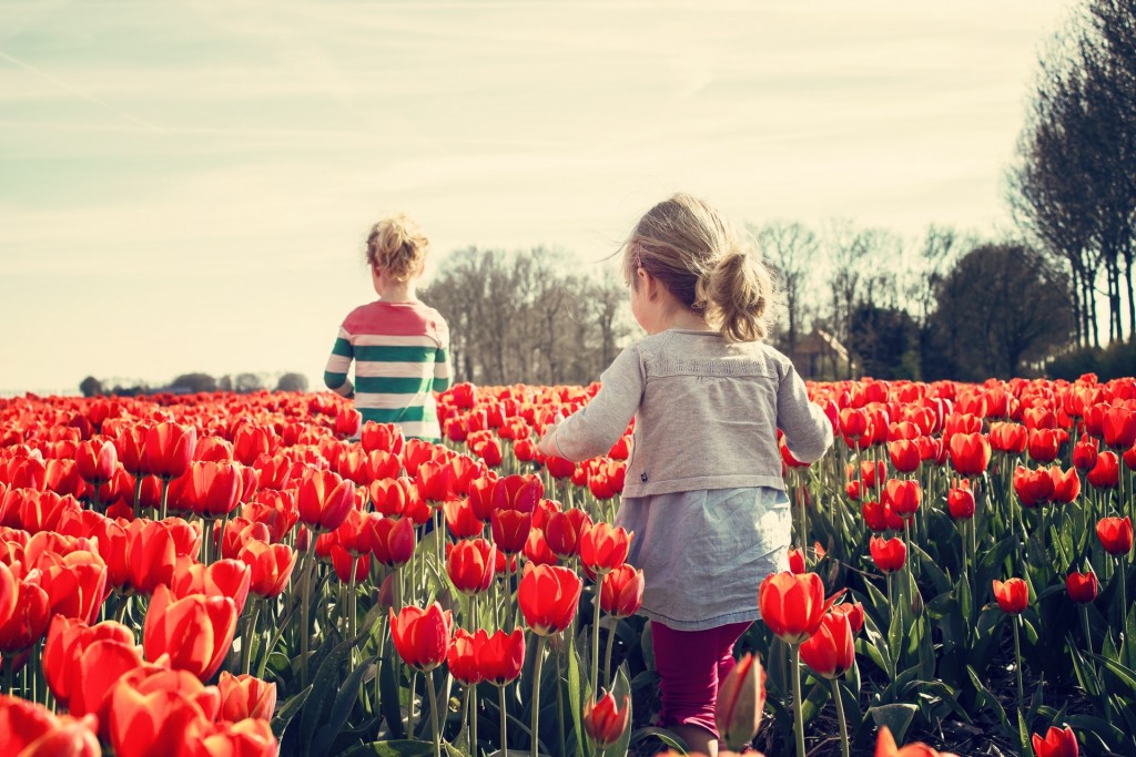 bloom-blossom-children-36745