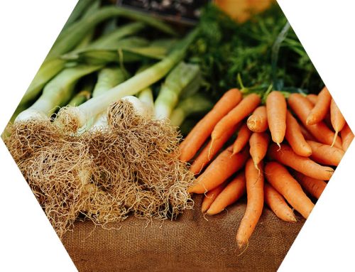4. Sustainable and healthy food