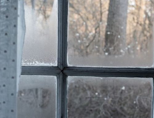Idea #29 | Managing Damp And Mold In The Home For Healthy And Sustainable Living